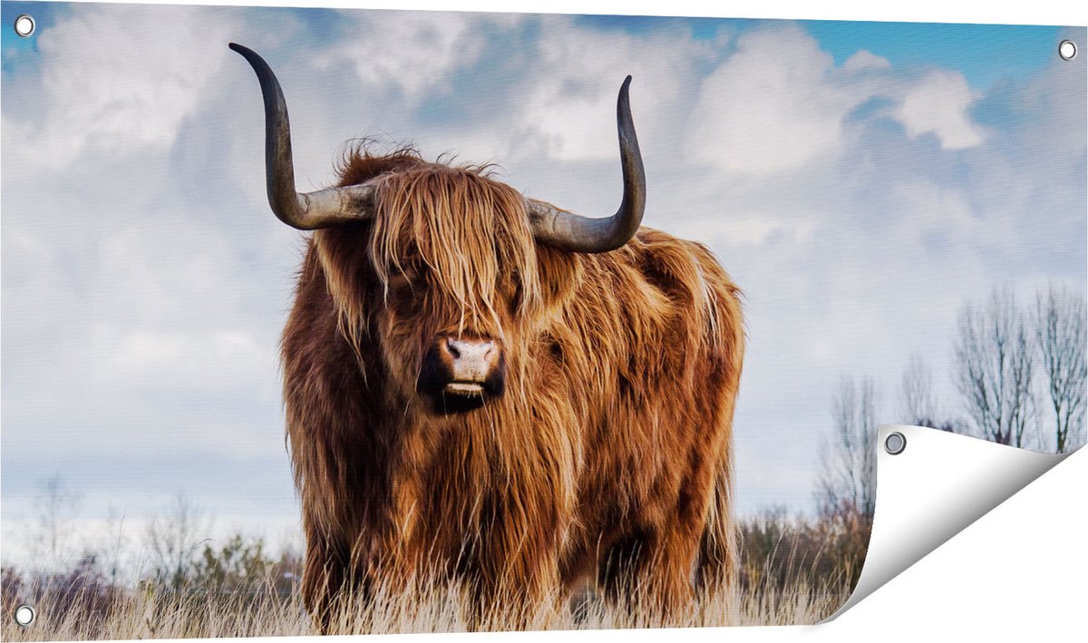Gards Tuinposter Schotse Hooglander Koe - Kleur - 100x50 cm - Tuindoek - Tuindecoratie - Wanddecoratie buiten - Tuinschilderij Multikleur
