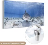 MuchoWow® Glasschilderij 160x80 cm - Schilderij acrylglas - Aanzwemmende haai - Foto op glas - Schilderijen