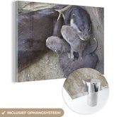 MuchoWow® Peinture sur verre 180x120 cm - Peinture sur verre acrylique - Loutre avec garçon - Photo sur verre - Peintures