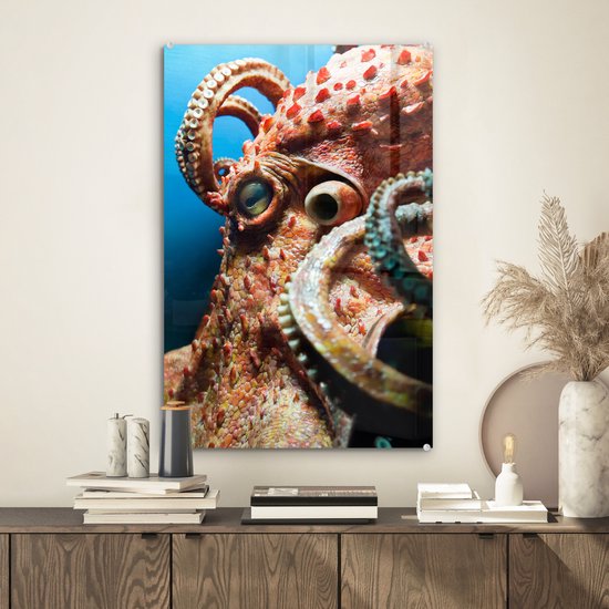 MuchoWow® Glasschilderij 40x60 cm - Schilderij acrylglas - Het hoofd van een octopus - Foto op glas - Schilderijen