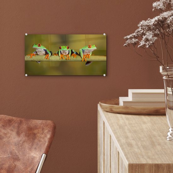 MuchoWow® Peinture sur Verre - Grenouilles - Branche - 40x20 cm - Peintures Acrylique - Photo sur Glas