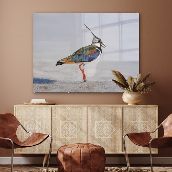 Peinture sur verre - Photo sur verre - Vogel - Ressorts - Arc-en-ciel - Sable - 120x90 cm - Verre acrylique - Peinture sur verre oiseaux - Décoration murale - Peinture sur verre nature - Décoration murale animaux