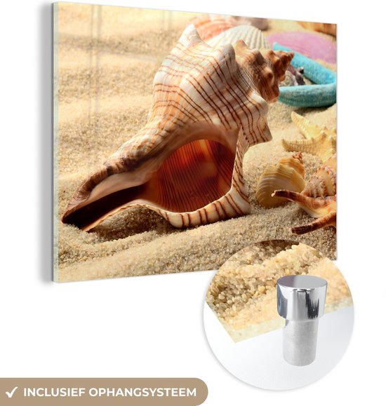Glasschilderij - Foto op glas - Strand - Zee - Zeesterren - Schelpen - Glasplaat - Wanddecoratie - Acrylglas - Glasschilderij strand - Acrylplaat - 80x60 cm - Muurdecoratie - Schilderijen woonkamer