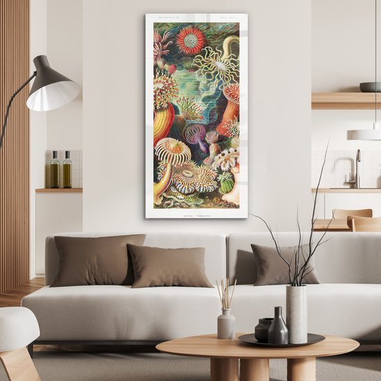 MuchoWow® Glasschilderij 60x120 cm - Schilderij acrylglas - Ernst Haeckel - Anemoon - Retro - Natuur - Planten - Zee - Foto op glas - Schilderijen
