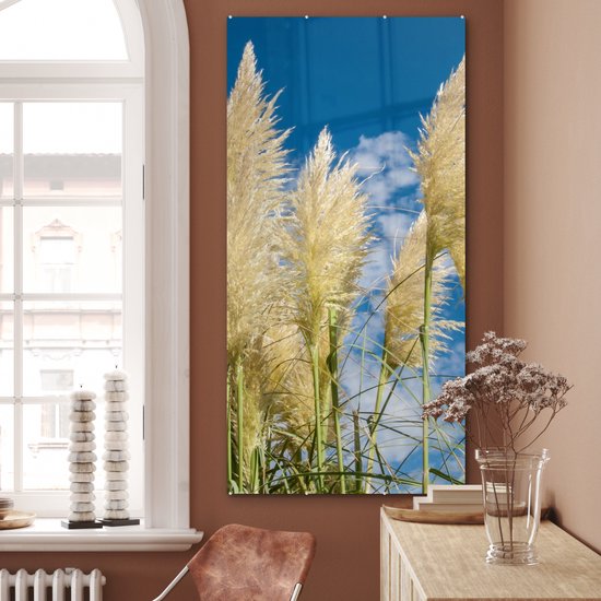 MuchoWow® Peinture sur verre 80x160 cm - Peinture sur verre acrylique - Herbe de la pampa - Plante - Nature - Photo sur verre - Peintures