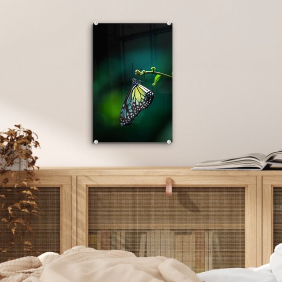 Peinture sur Verre - Papillon sur une Branche Fine - 20x30 cm - Peintures sur Verre Peintures - Photo sur Glas