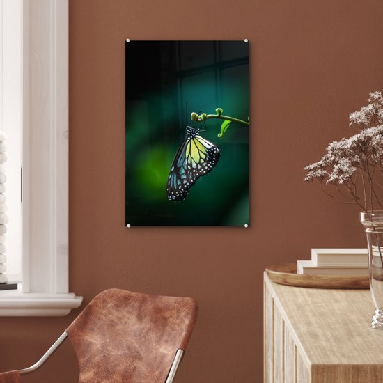 Peinture sur Verre - Papillon sur une Branche Fine - 40x60 cm - Peintures sur Verre Peintures - Photo sur Glas