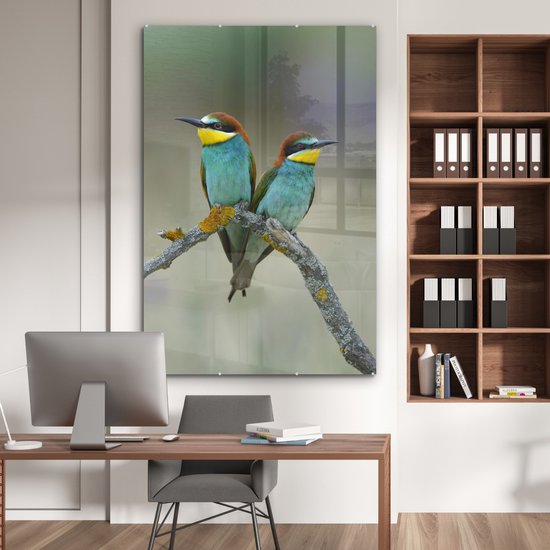 MuchoWow® Tableau sur Verre - Deux Mignons Guêpiers Regarder Ailleurs - 100x150 cm - Peintures sur Verre Acrylique - Photo sur Glas