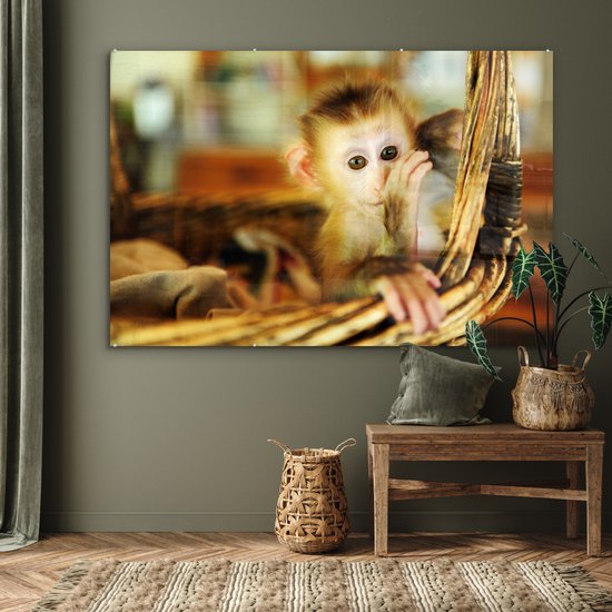 ® Glasschilderij 180x120 cm - Schilderij acrylglas - Baby aap in een rieten mand - Jongen - Kind - Meisjes - Kinderen - Foto op glas - Muurdecoratie woonkamer - Wanddecoratie slaapkamer - Schilderijen