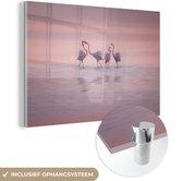 MuchoWow® Glasschilderij 60x40 cm - Schilderij acrylglas - Vier flamingo's staan in het water - Foto op glas - Schilderijen