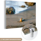 MuchoWow® Glasschilderij 90x60 cm - Schilderij acrylglas - Dieren - Zeehond - Strand - Foto op glas - Schilderijen