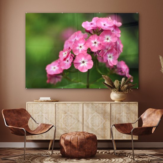 Fleurs flammes roses sur fond vert Plexiglas 180x120 cm - Tirage photo sur Glas (décoration murale plexiglas) XXL / Groot format!