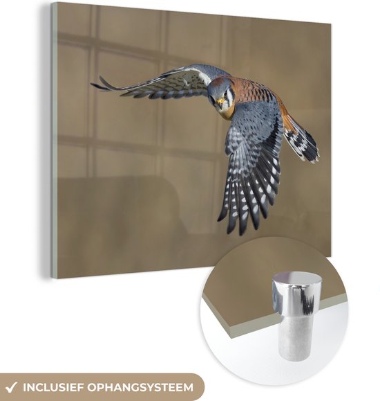 MuchoWow® Glasschilderij 40x30 cm - Schilderij acrylglas - Valk - Veren - Vleugels - Foto op glas - Schilderijen