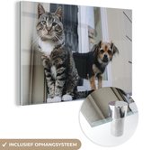 MuchoWow® Glasschilderij 120x80 cm - Schilderij acrylglas - Kat - Hond - Dieren - Foto op glas - Schilderijen