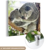 MuchoWow® Glasschilderij 90x90 cm - Schilderij acrylglas - Koala's - Knuffel - Dieren - Kids - Jongens - Meiden - Foto op glas - Schilderijen