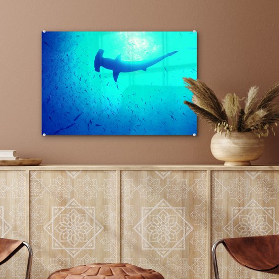 Peinture sur verre MuchoWow® 60x40 cm - Peinture acrylique sur verre - Shark -marteau (Sphyrna mokarran) parmi les poissons - Photo sur verre - Peintures