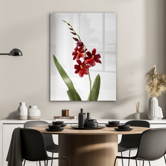 MuchoWow® Peinture sur Verre - Les Feuilles Rouges sur Fond Noir