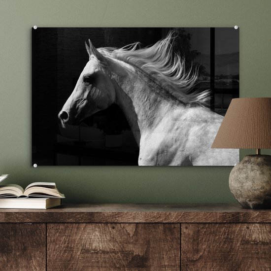 MuchoWow® Peinture sur Verre - Paarden - Animaux - Portrait - 60x40 cm - Peintures sur Verre Acrylique - Photo sur Glas