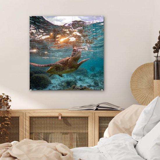 MuchoWow® Peinture sur Verre - Mer - Tortue - Couleurs - 50x50 cm - Peintures Acrylique - Photo sur Glas