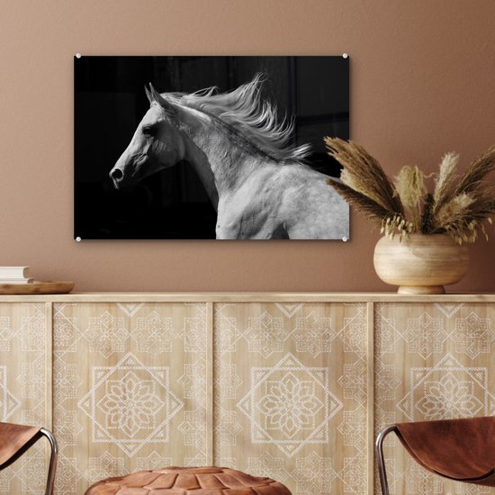 MuchoWow® Peinture sur verre 60x40 cm - Peinture acrylique sur verre - Paarden - Animaux - Portrait - Photo sur verre - Peintures