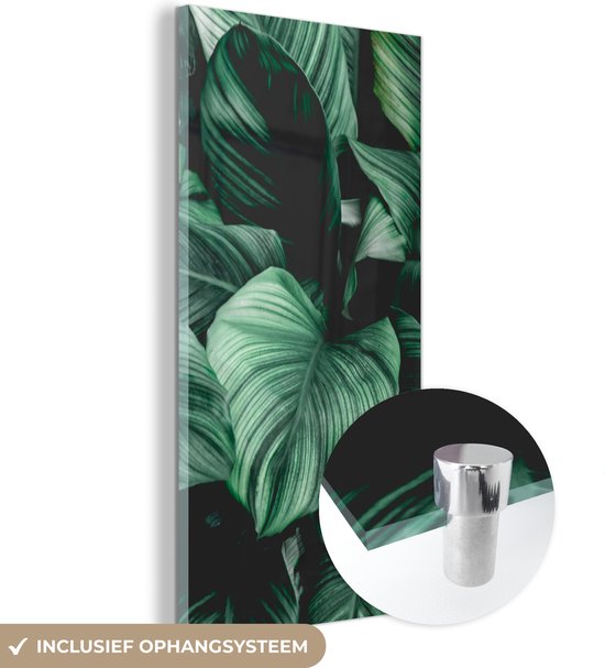 MuchoWow® Glasschilderij 60x120 cm - Schilderij acrylglas - Jungle - Bladeren - Tropisch - Planten - Natuur - Foto op glas - Schilderijen