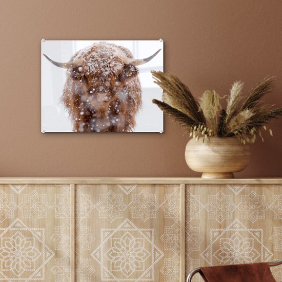 MuchoWow® Peinture sur Verre - Highlander écossais - Cornes - Neige - 40x30 cm - Peintures sur Verre Acrylique - Photo sur Glas