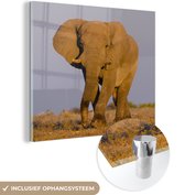 MuchoWow® Glasschilderij 20x20 cm - Schilderij acrylglas - Afrikaanse olifant in het zand - Foto op glas - Schilderijen