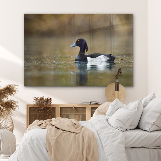 MuchoWow® Peinture sur verre 180x120 cm - Peinture sur verre - Canard tufté - Water - Vogel - Photo sur verre acrylique - Peintures