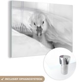MuchoWow® Glasschilderij 60x40 cm - Schilderij acrylglas - Baby zwaan - zwart wit - Foto op glas - Schilderijen