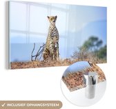 MuchoWow® Glasschilderij 120x60 cm - Schilderij acrylglas - Cheetah - Wild - Jacht - Foto op glas - Schilderijen