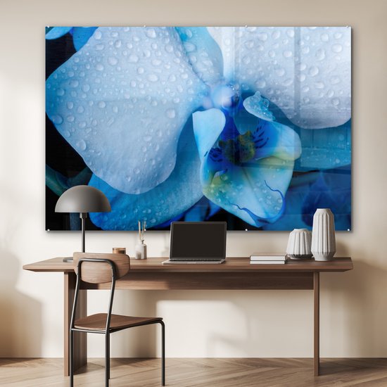 Peinture sur verre MuchoWow® - Gros plan d'une orchidée bleue avec des feuilles claires - 150x100 cm - Peintures sur verre acrylique - Photo sur Glas