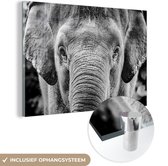 MuchoWow® Glasschilderij 30x20 cm - Schilderij acrylglas - Close-up portret van een olifant - zwart wit - Foto op glas - Schilderijen