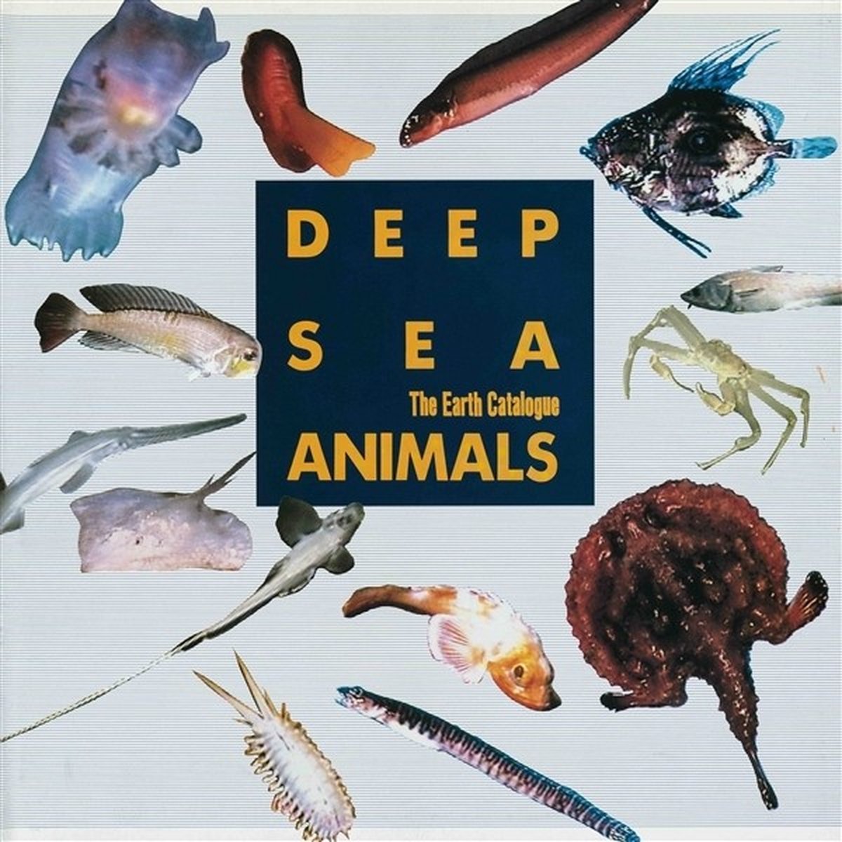The Earth Catalogue - Deep Sea Animals (LP)