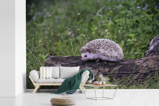 Papier peint photo peint photo vinyle - Hérisson sur souche d'arbre largeur 360 cm x hauteur 240 cm - Tirage photo sur papier peint (disponible en 7 tailles)