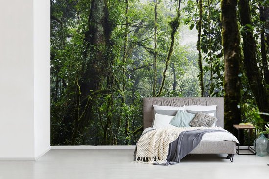 Papier peint Papier peint photo en vinyle - Forêt tropicale humide largeur 360 cm x hauteur 240 cm - Tirage photo sur papier peint (disponible en 7 tailles)