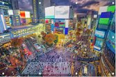 Beroemde Shibuya Crossing bij neon verlichting in Tokio  - Foto op Tuinposter - 60 x 40 cm