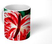 Mok - Close-up van de bijzondere bloem van een Anthurium - 350 ML - Beker