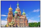 De Kerk van de Verlosser op het Bloed in Sint-Petersburg - Foto op Akoestisch paneel - 150 x 100 cm