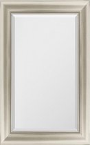 Spiegel Modern Zilver 63x163 cm – Viktoria – Grote Spiegels – Unieke spiegel met zilveren lijst – Lange Design Spiegel – Perfecthomeshop