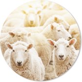 Muismat - Mousepad - Rond - Schapen - Wol - Wit - 50x50 cm - Ronde muismat