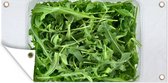 Tuinposter Rucola salade in een plastic bak - 80x40 cm - Wanddecoratie Buiten - Tuinposter - Tuindoek - Schuttingposter - Tuinschilderij