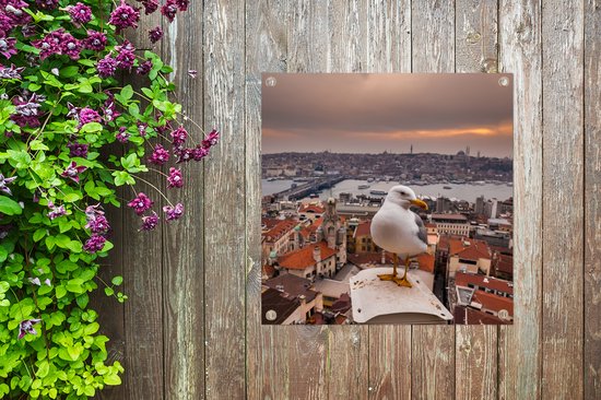 Posters de jardin Seagull - Istanbul - Architecture - 50x50 cm
