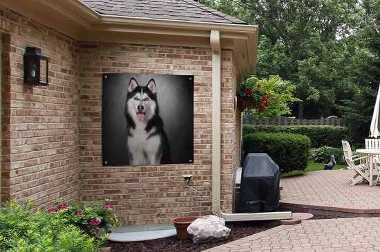 Tissu de jardin Husky sibérien - 100x100 cm