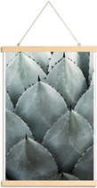 JUNIQE - Posterhanger Agave foto -40x60 /Groen & Turkoois