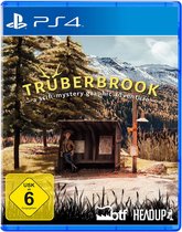 GAME Trüberbrook, PS4, PlayStation 4, Multiplayer modus, RP (Rating Pending)