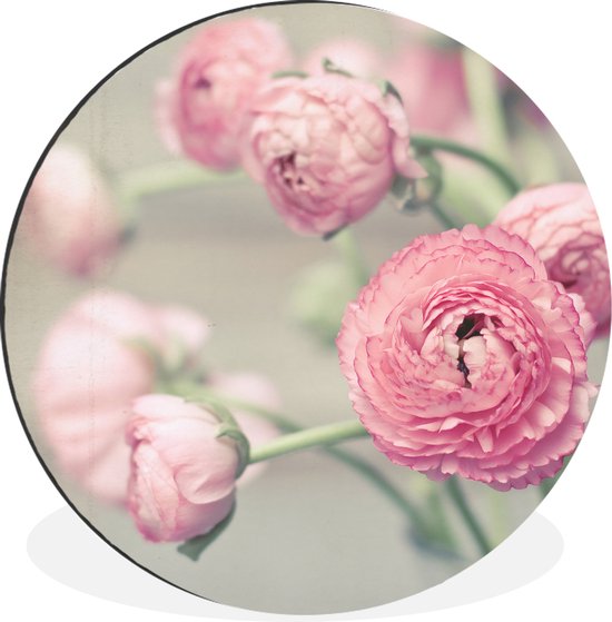 WallCircle - Wandcirkel - Muurcirkel - Roze boterbloemen in een glazen vaas - Aluminium - Dibond - ⌀ 90 cm - Binnen en Buiten