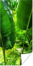 Poster Tropische bladeren in jungle fotoprint - 60x120 cm