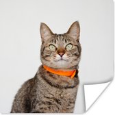 Poster Kat - Halsband - Oranje - Meisjes - Kinderen - Jongens - Kids - 30x30 cm