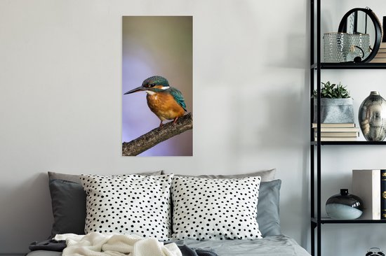 Affiche impression photo Martin-pêcheur - 40x80 cm