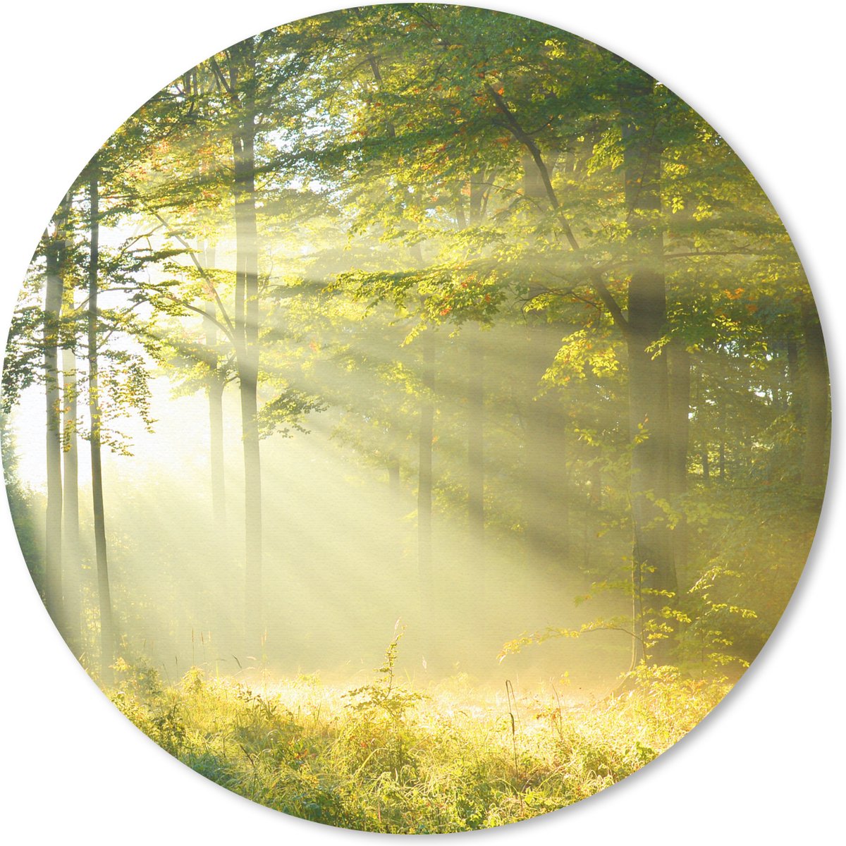 Muismat rond 20x20 cm - Mousepad Bos - Licht - Lente - Ronde muismatten